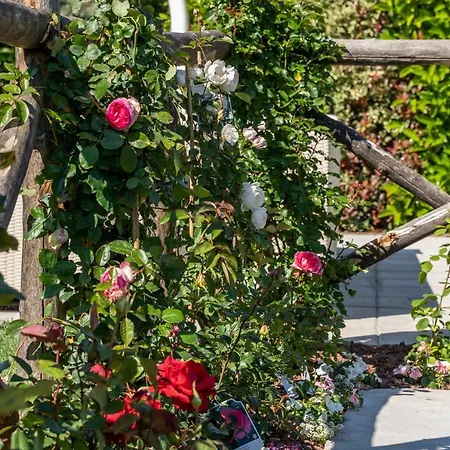 Villa Dimora Delle Rose Massa Lubrense